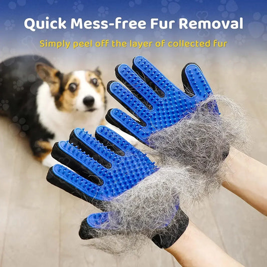 How to Remove Pet Hair From Clothes, Furniture & More