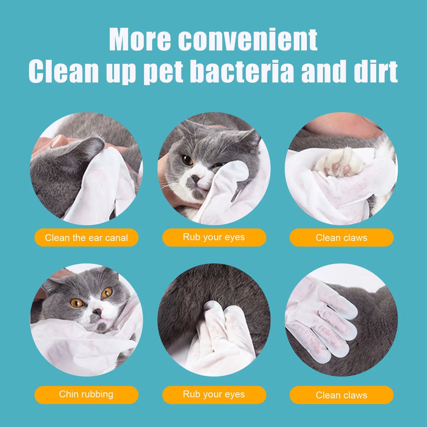 Pettechhair pet cleaning gloves wiping cat ears eyes claws and chin for hygiene