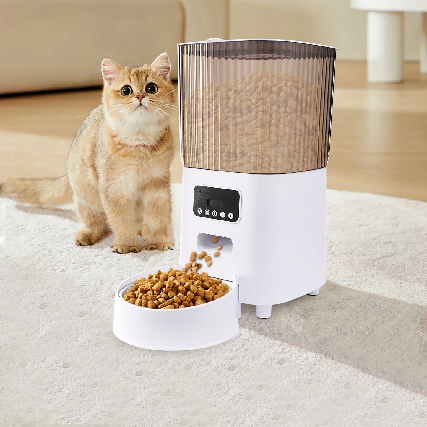 Automatic Cat Feeder 5L – Timed Pet Food Dispenser