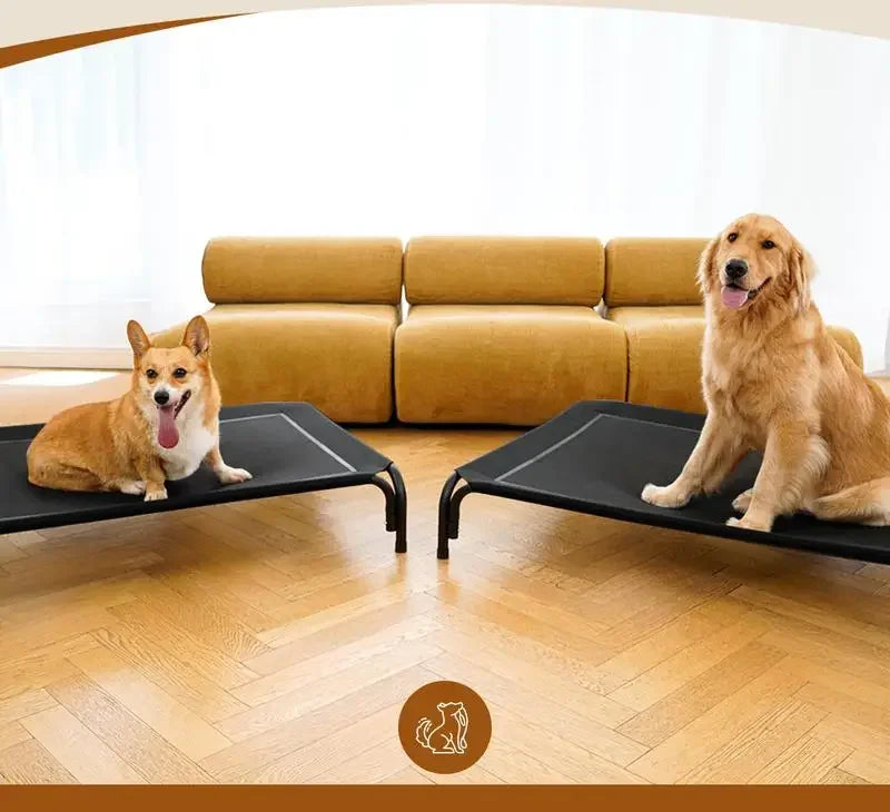 Large Orthopedic Elevated Dog Bed – XL/3XL