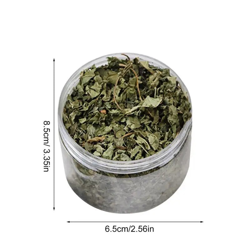 pettechhair clear jar of dried green pet safe herb leaves in 8.5 cm by 6.5 cm container