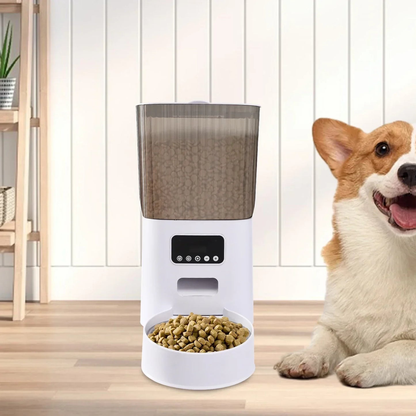 Automatic Cat Feeder 5L – Timed Pet Food Dispenser