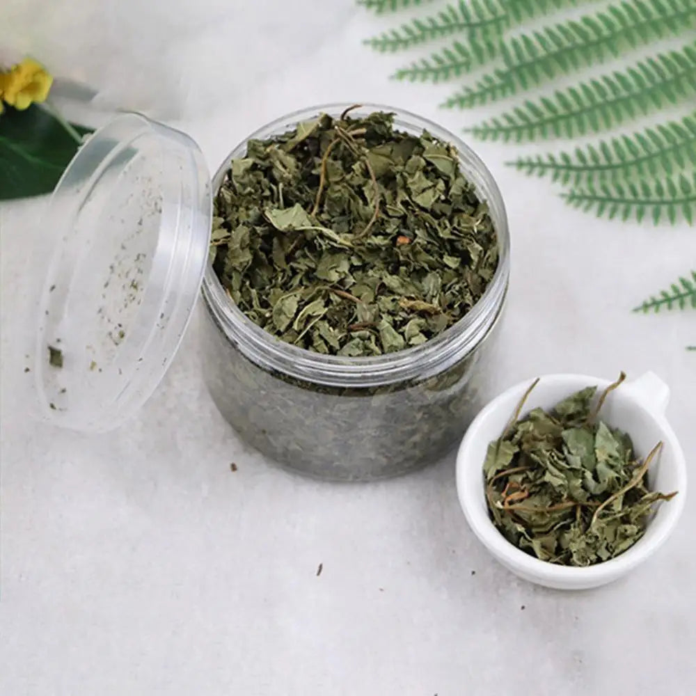 pettechhair dried green herbal leaves in clear plastic jar with small white bowl and fern decor