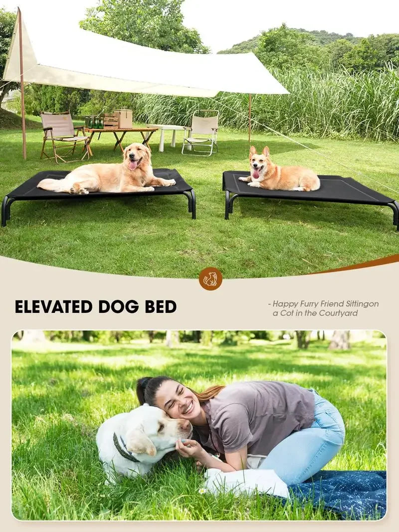 Large Orthopedic Elevated Dog Bed – XL/3XL