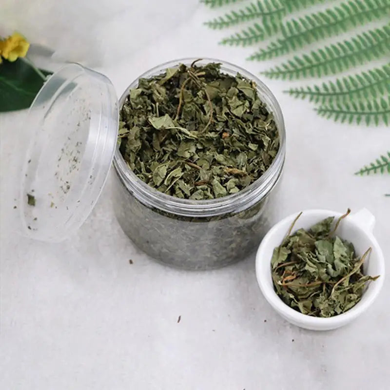 pettechhair jar of dried green herb leaves in clear container with small white bowl and fern decor