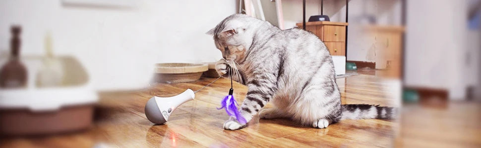 Interactive Feather Cat Toy – USB Automatic Play Ball