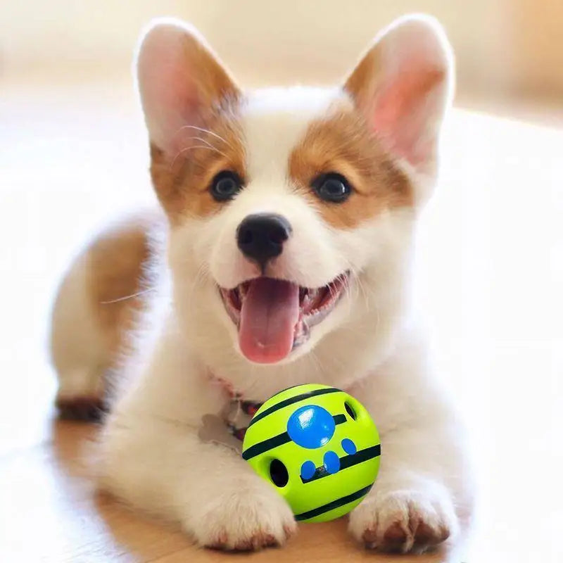 Dog Bubble Toy – Interactive Outdoor Fun