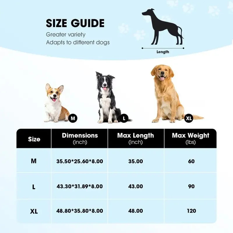 Large Orthopedic Elevated Dog Bed – XL/3XL
