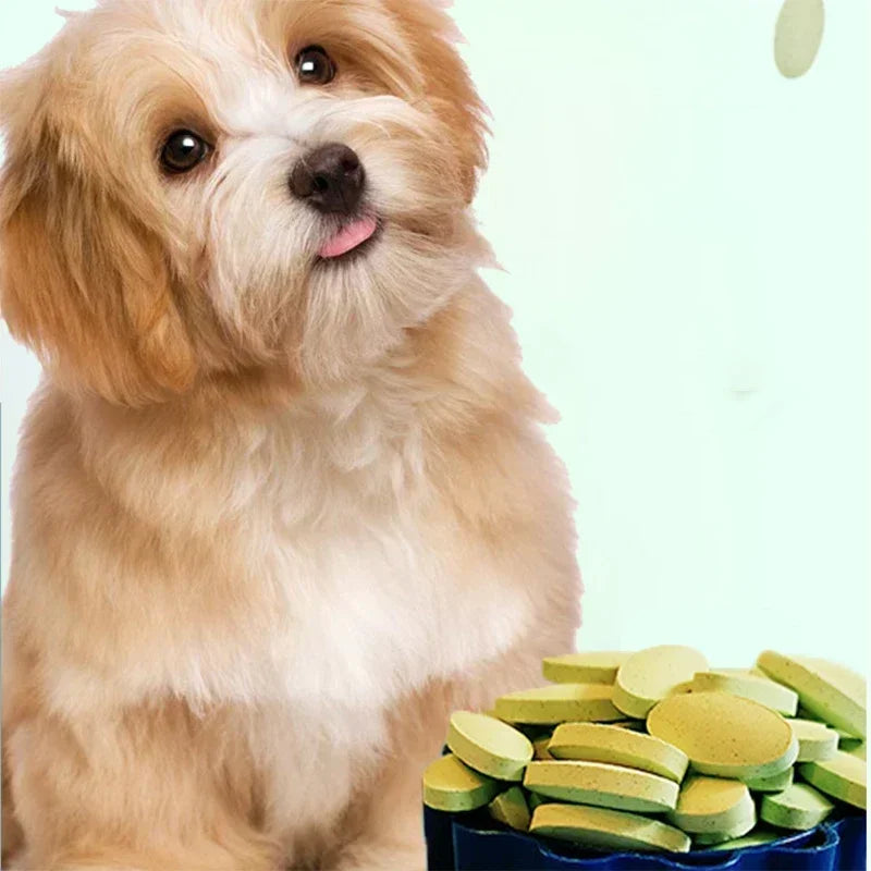 Pet Multivitamin – Healthy Coat & Strong Immunity for Dogs & Cat