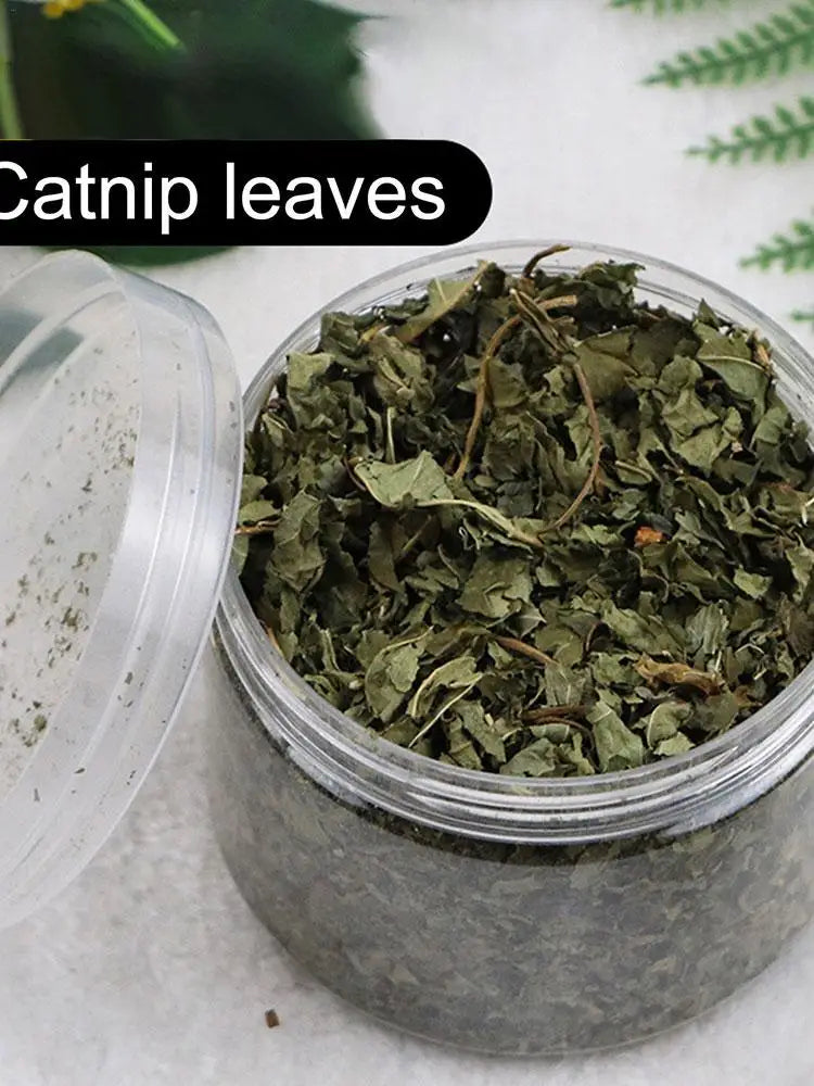 Clear plastic jar of dried catnip leaves for cats on white surface with lid partly open