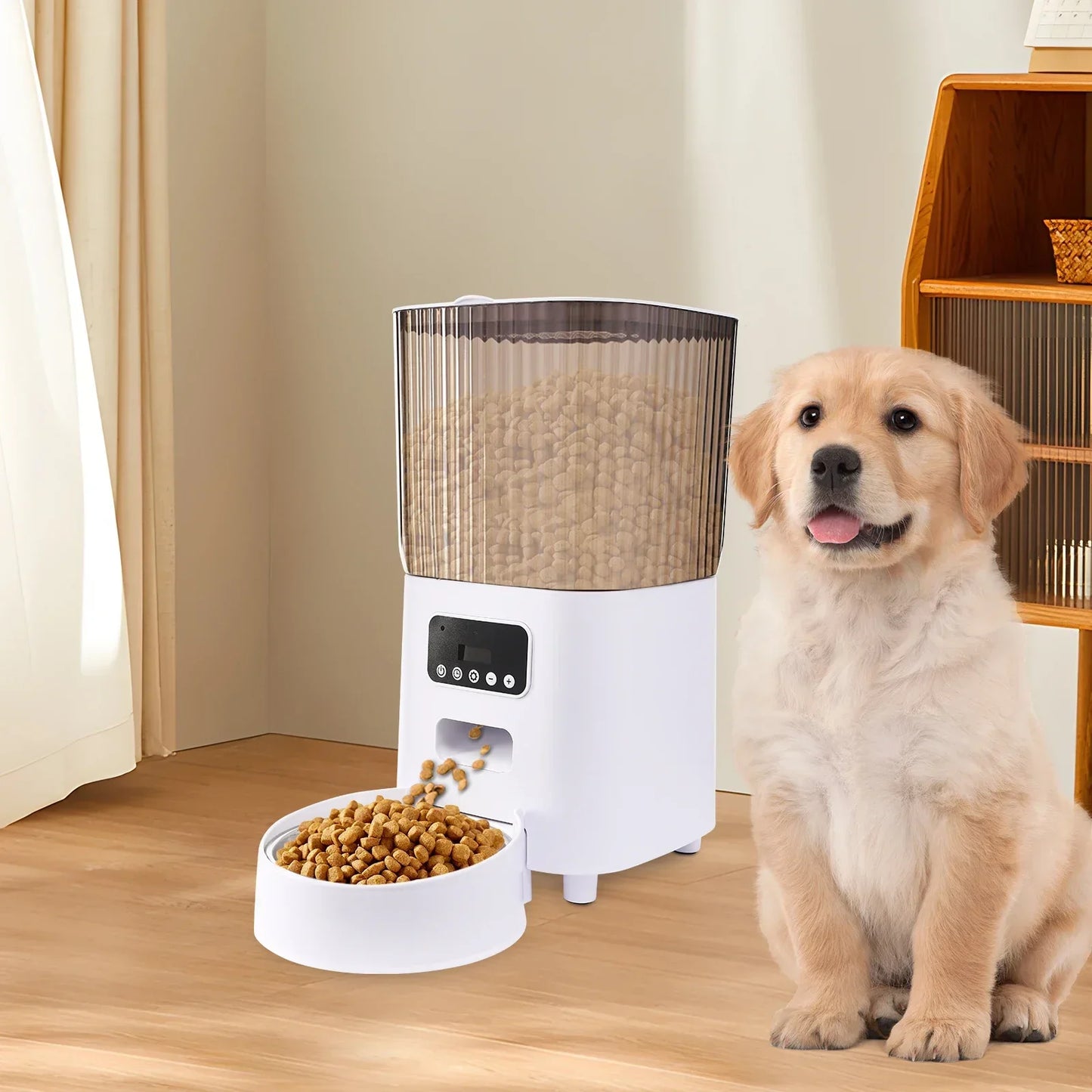 Automatic Cat Feeder 5L – Timed Pet Food Dispenser