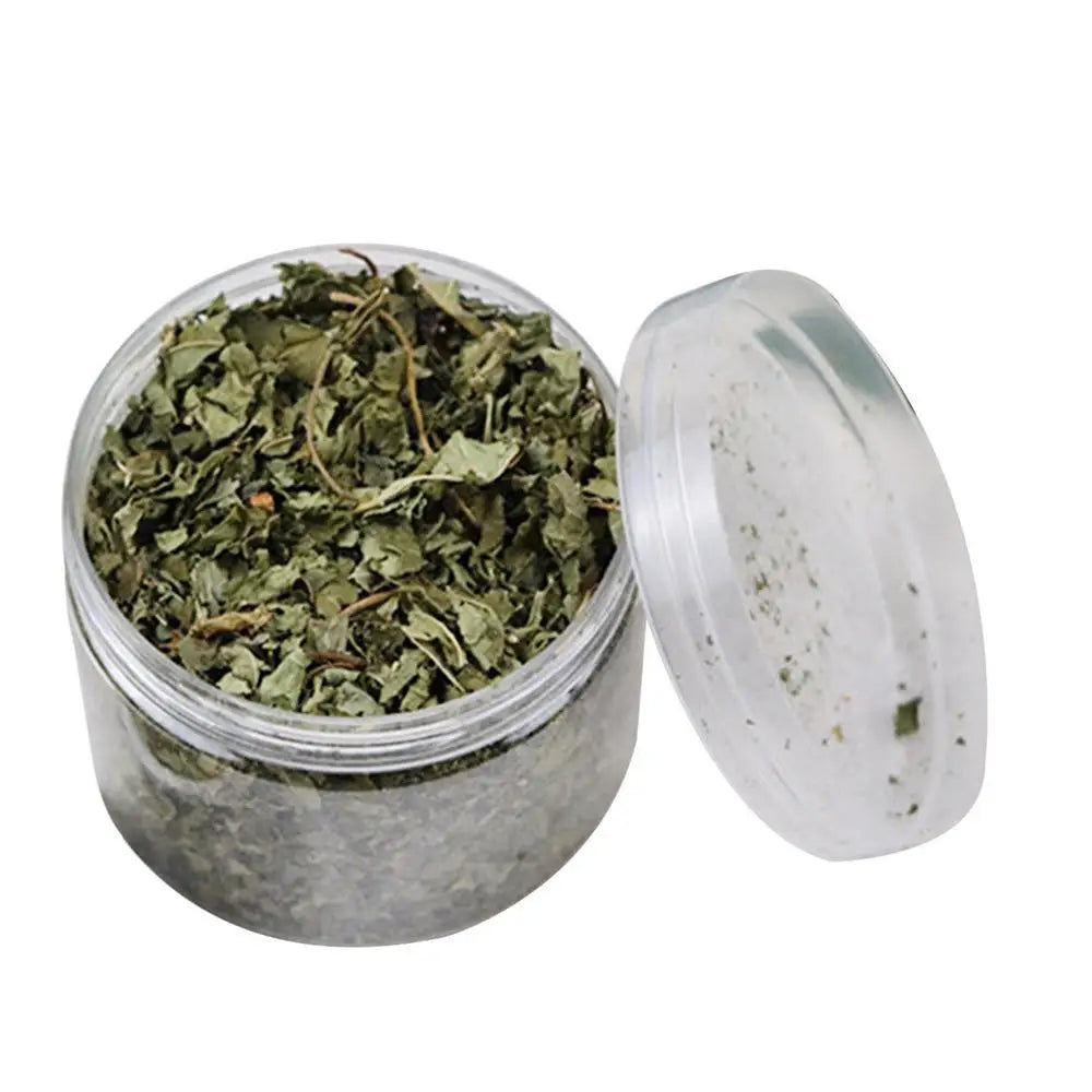 pettechhair clear jar with lid open showing dried green herb leaves for pets
