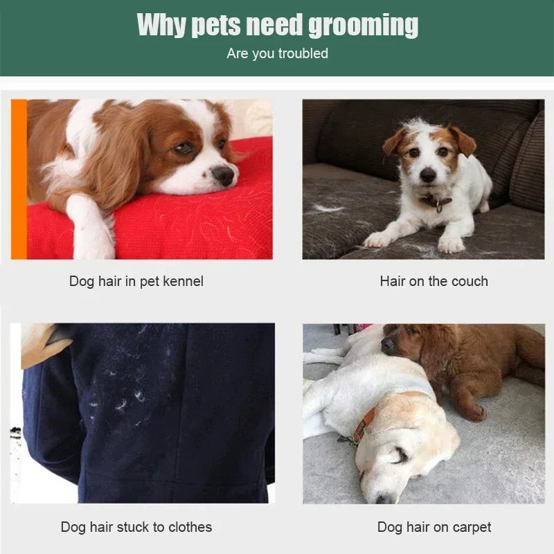 Pet Hair Remover Brush for Dog and Cat Fur