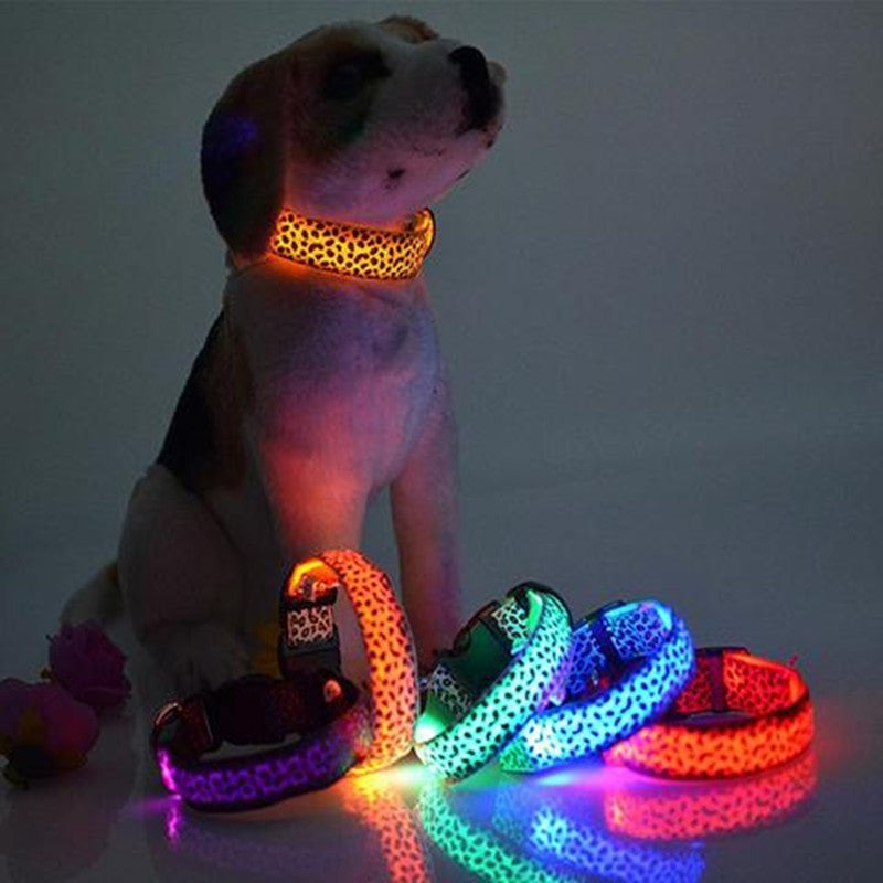 Dog wearing LED leopard print safety collar glowing orange beside multicolor light up dog collars display