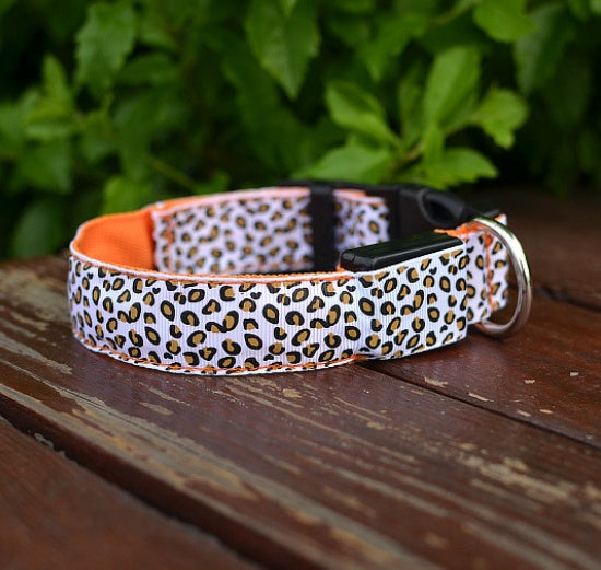 Pettechhair leopard print dog collar with orange padded lining plastic buckle and metal D ring