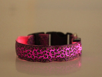 Pink leopard print dog collar by pettechhair with black buckle and adjustable strap for small to medium dogs
