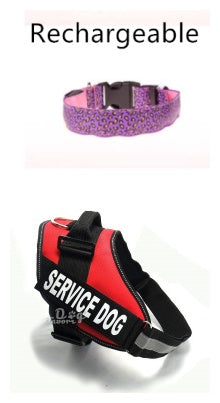 Pettechhair rechargeable purple LED dog collar and red service dog harness for trained working dogs