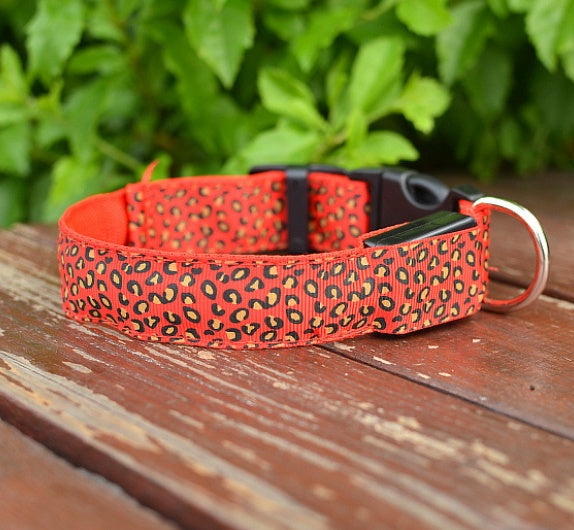 Pettechhair orange leopard print dog collar with plastic buckle and metal D ring on wooden deck