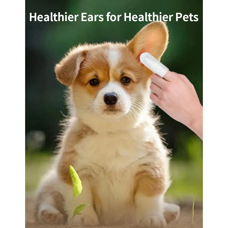 pettechhair puppy ear cleaning finger wipe demonstration with hand gently cleaning puppy ear outdoors