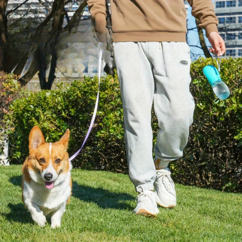 pettechhair portable dog water bottle held by owner while walking corgi in park