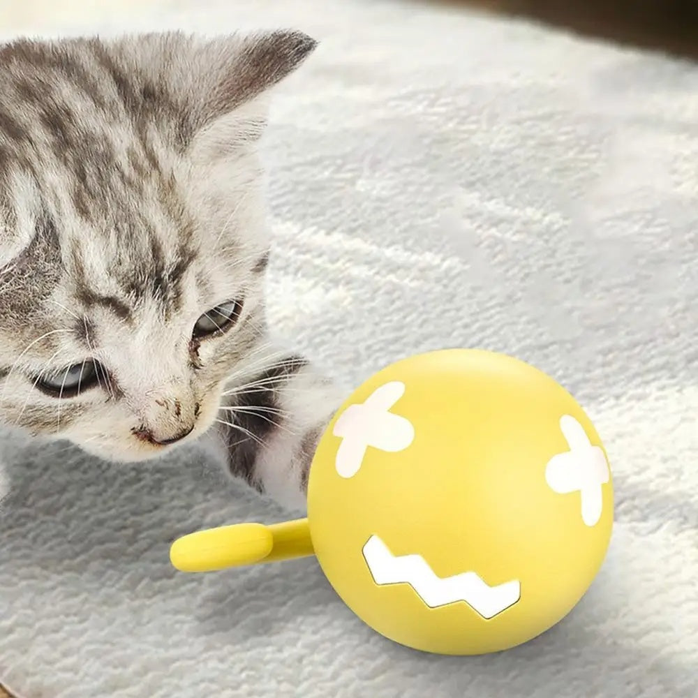 Cat kitten pawing a yellow round toy ball with white cross and zigzag face markings and handle on rug