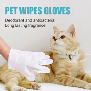 Antibacterial Pet Grooming Gloves – Disposable, Wash-Free, Perfect for Small Pets