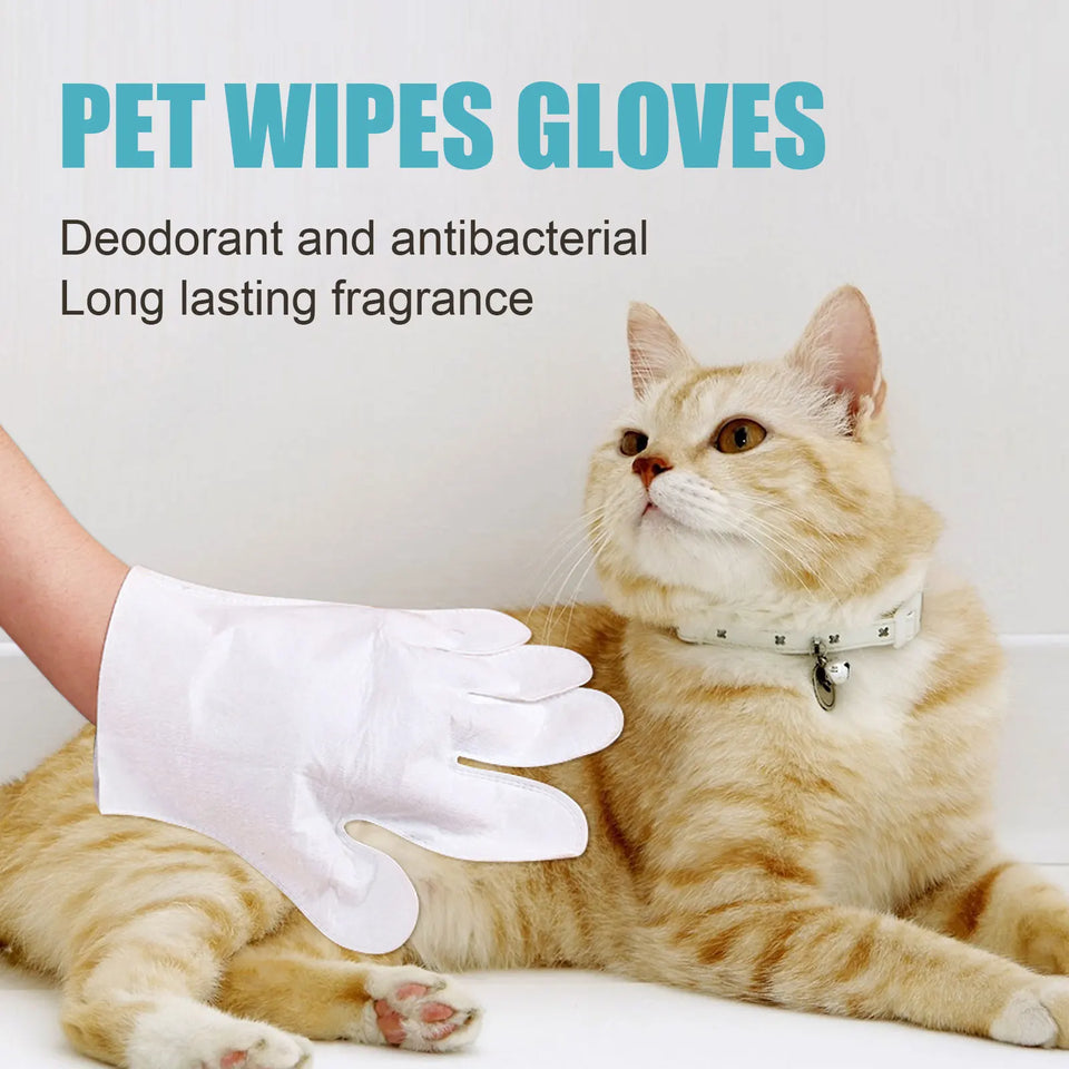 Antibacterial Pet Grooming Gloves – Disposable, Wash-Free, Perfect for Small Pets