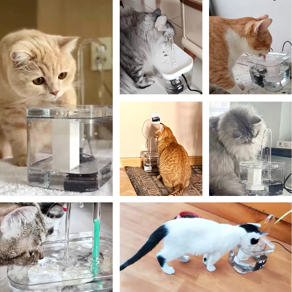 USB Cat Water Fountain – Silent Auto-Filtering