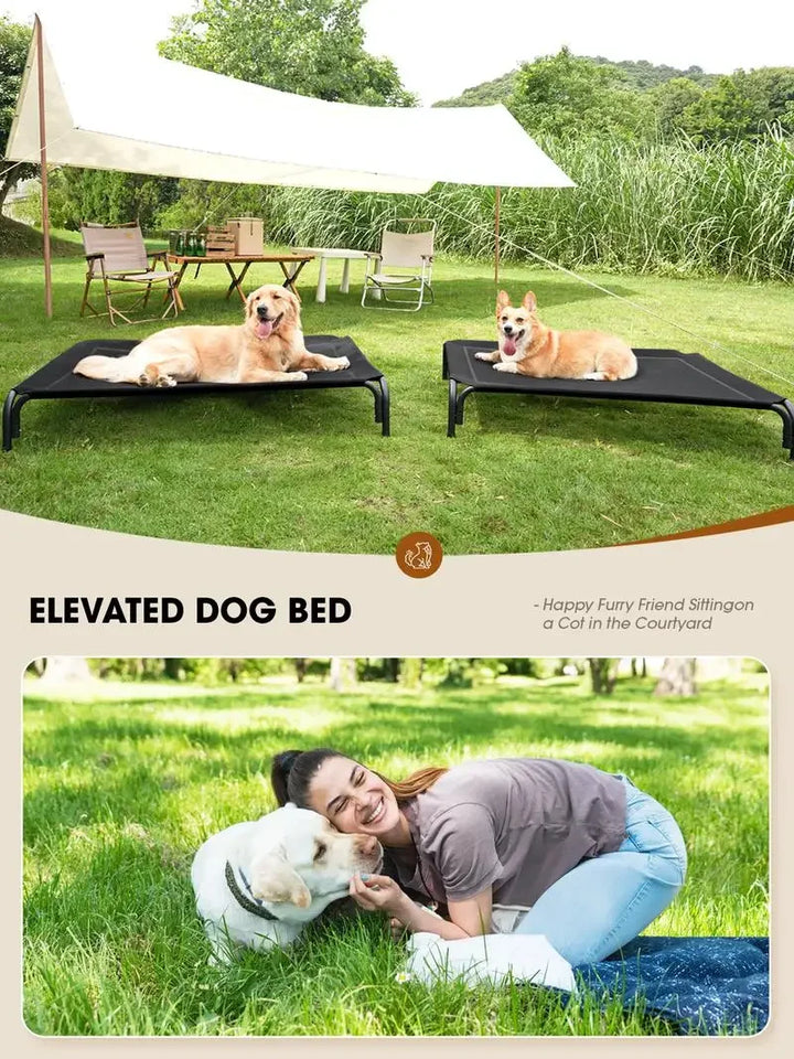 Elevated Orthopedic Dog Bed Large – Cooling, Outdoor & Senior Relief