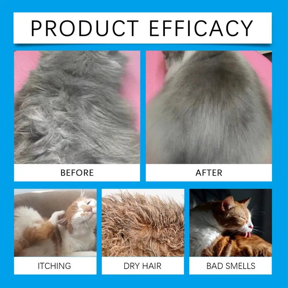 No-Rinse Cat Flea Shampoo – Waterless, Quick-Drying