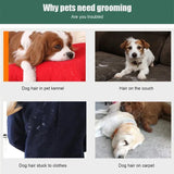 Pet Hair Remover Brush for Dog and Cat Fur - Image #0