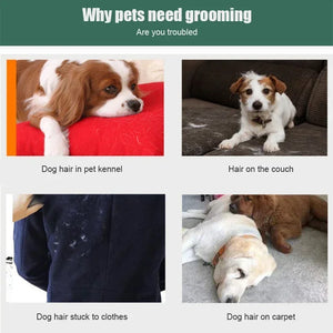 Pet Hair Remover Brush for Dog and Cat Fur - Image #0