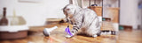pettechhair interactive cat toy with red laser and purple feather dangling as gray tabby bats on hardwood floor