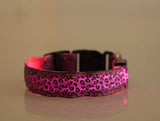 Pink leopard print dog collar by pettechhair with black buckle and adjustable strap for small to medium dogs