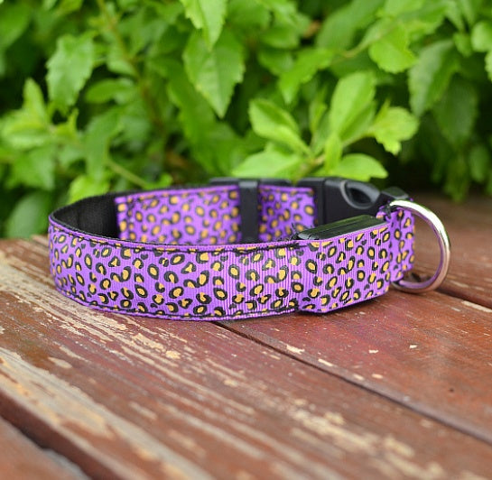 Pettechhair purple leopard print dog collar with adjustable buckle on wood deck