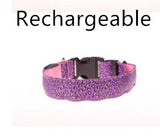 Pettechhair rechargeable purple leopard print dog collar with adjustable strap and black quick release buckle