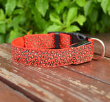 Pettechhair orange leopard print dog collar with plastic buckle and metal D ring on wooden deck