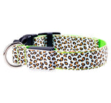 pettechhair leopard print dog collar with neon green lining adjustable buckle and metal D ring