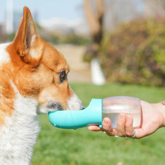 Corgi drinking from turquoise pettechhair portable dog water bottle held by hand in a park