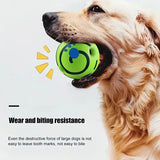 Golden Retriever holding green durable chew ball by pettechhair demonstrating bite and wear resistance